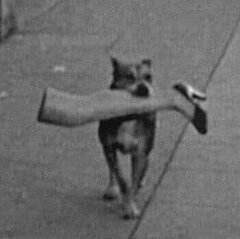 Bandit1947