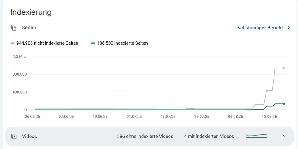 seo.JPG